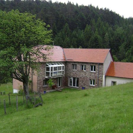 Gite Hansel De La Ferme Du Schneeberg Wangenbourg-Engenthal Екстериор снимка