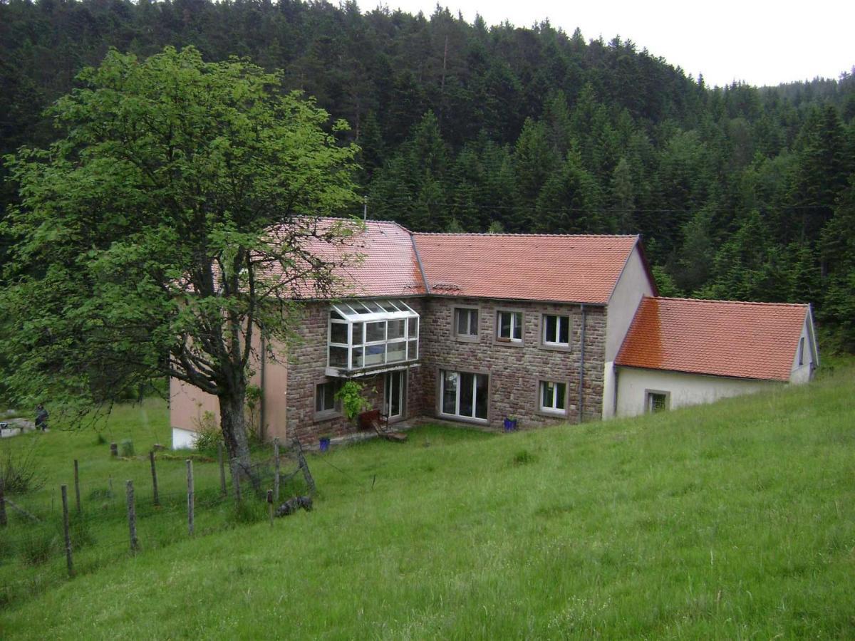 Gite Hansel De La Ferme Du Schneeberg Wangenbourg-Engenthal Екстериор снимка