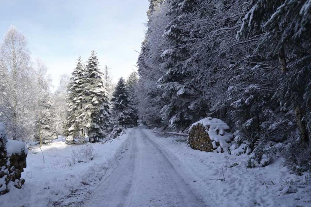 Gite Hansel De La Ferme Du Schneeberg Wangenbourg-Engenthal Екстериор снимка