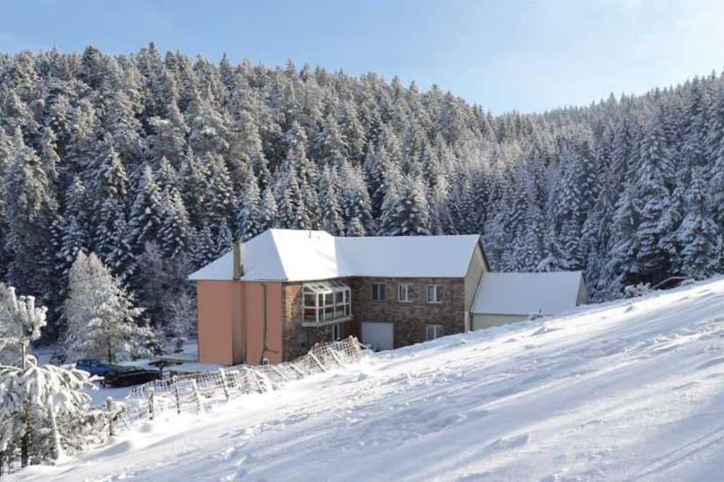 Gite Hansel De La Ferme Du Schneeberg Wangenbourg-Engenthal Екстериор снимка