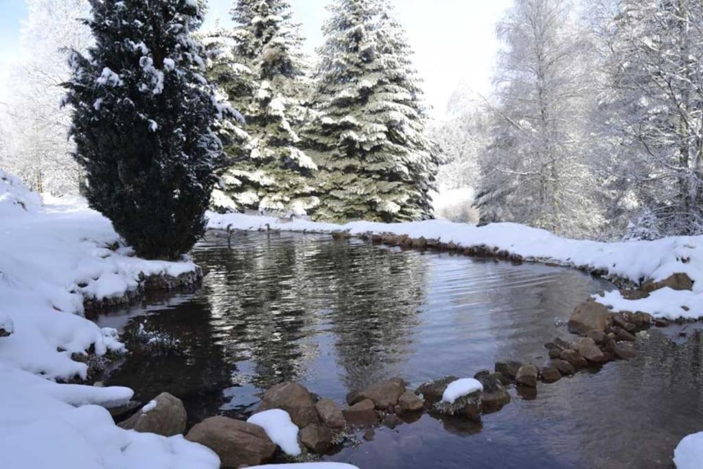 Gite Hansel De La Ferme Du Schneeberg Wangenbourg-Engenthal Екстериор снимка